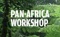 Pan-Africa Workshop 