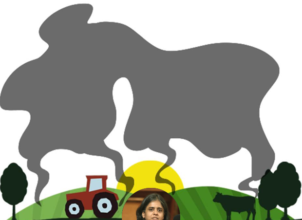 The Clean Air Concern